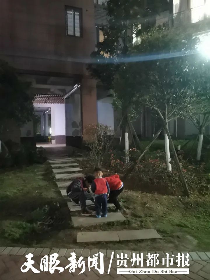 DƬ